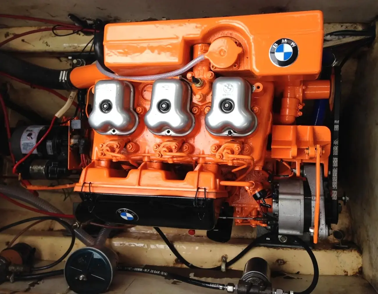 Black Marlin 23 - Image 28