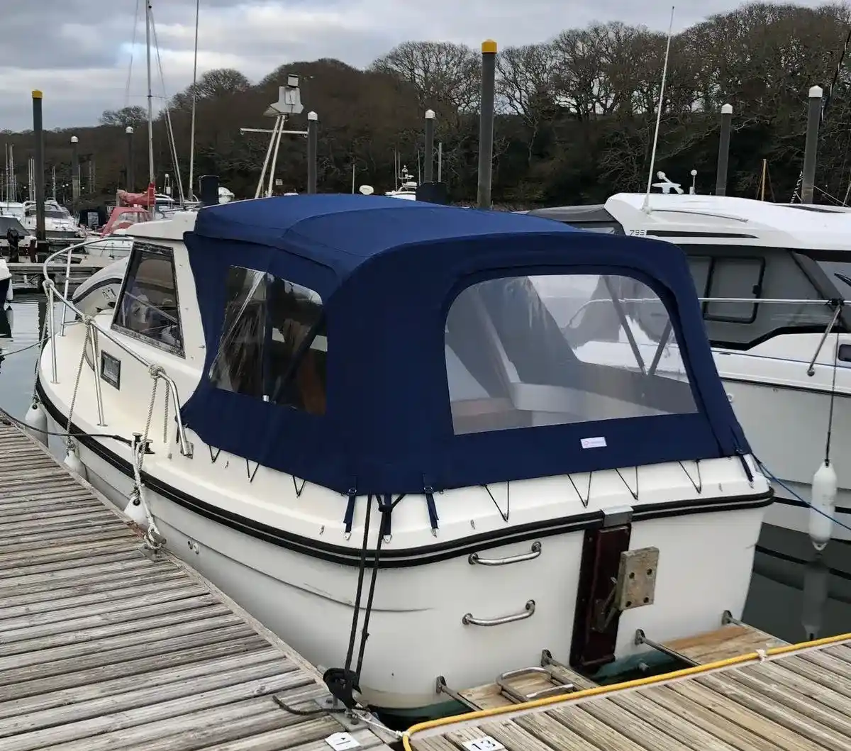 Black Marlin 23 - Image 4